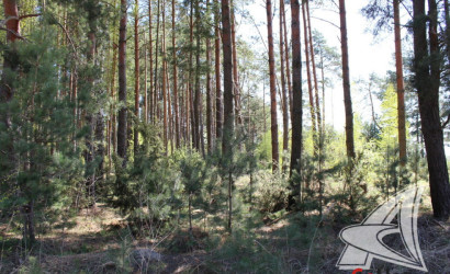 Купить дом, Щебрин, Тельминский с/с, 12.56 соток. Фото 30