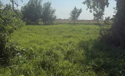  50.4 м2, Новицкие
