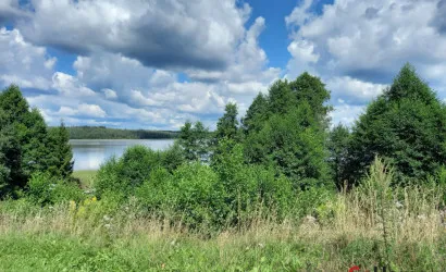  44 м2, Большое Ситно