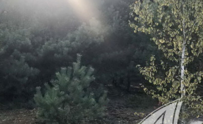 Купить участок, Брест, Радваничский с/с, 10 соток. Фото 5