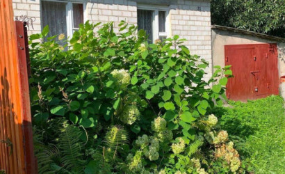 Купить дачу, СТ Виктория, 10.37 соток. Фото 3