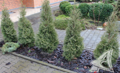 Купить дом, Брест, Вересковые, 10.27 соток. Фото 23