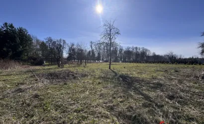  47.4 м2, Шанторовщина(Озерная ул., 7)