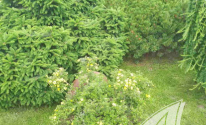 Купить дом, Брест, Вересковые, 10 соток. Фото 41