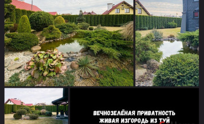 Купить коттедж, Брест, Старожитная ул., 10/1, 10.1 соток. Фото 12