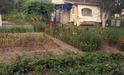 Купить дом в деревне, Верейцы, 10 соток. Фото 3