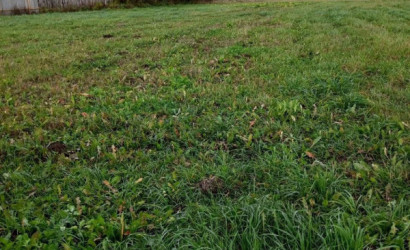 Купить участок, Островы, 9.64 соток. Фото 10