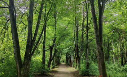 Купить коттедж, Лужесно, Листвиничная, 14 соток. Фото 14