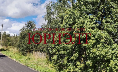  1-этаж.(24.98 м2), Бабиничи(Зелёная, 7)