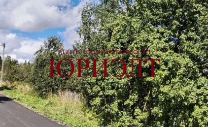  1-этаж.(24.98 м2), Бабиничи(Зелёная, 7)