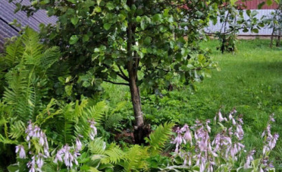 Купить дом, Каменка, Центральная ул., 25, 24.99 соток. Фото 6