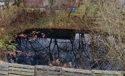 Купить дом, Придвинье, Полевая, 71, 16 соток. Фото 20