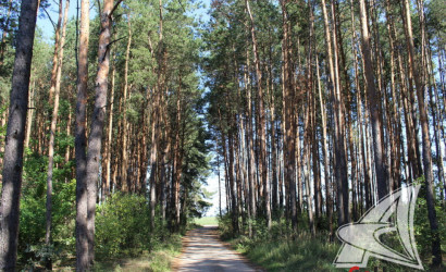 Купить дом, Дружба, Чернавчицкий с/с, 4.43 соток. Фото 23