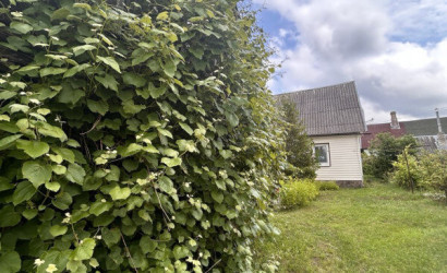 Купить дом, Слободка, Горная ул., 1, 25 соток. Фото 21