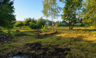  Бибиревка