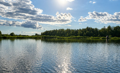 Купить дом, Лоша, Интернациональная, 16.7 соток. Фото 12