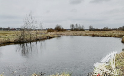 Купить дом, Большие Радваничи, Радваничский с/с, 25 соток. Фото 8