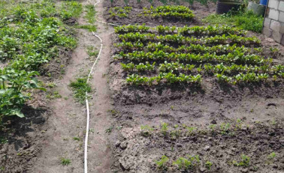 Купить дом, Гомель, Быховская,51. Гомельская обл. город Гомель, Белоруссия, 7.82 соток. Фото 8