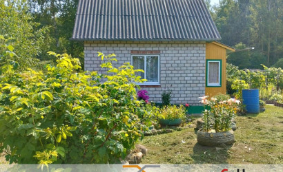 Купить дом в деревне, Отдых, 21.88 соток. Фото 3