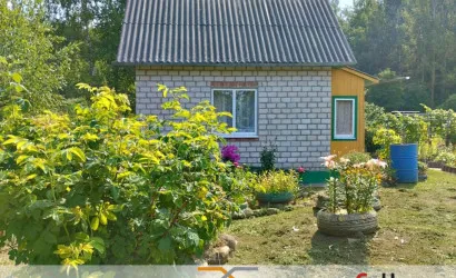  1-этаж.(15.4 м2), Отдых