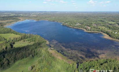Купить дом, Радки, 37.74 соток. Фото 21