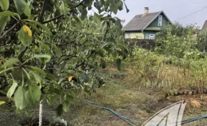  Брест(Плоска)