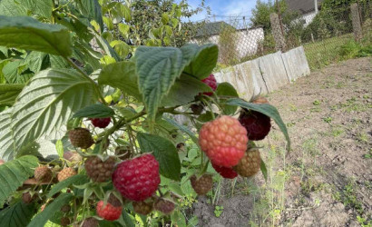 Купить дом, Лида, 2-й Дзержинского, 6.3 соток. Фото 14