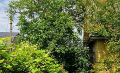 Купить дачу, СТ Колос БГУ, 4.66 соток. Фото 2