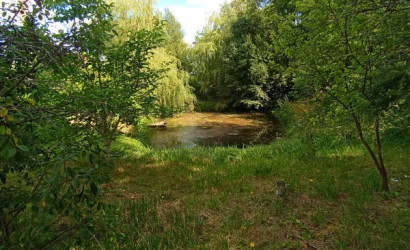 Купить дом, Близница, Центральная ул., 30, 25 соток. Фото 2