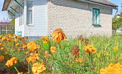 Купить дачу, Приозерное, 5 соток. Фото 3