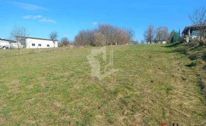  Заболотье(142-1)