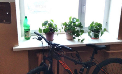 Купить 1-комнатную квартиру, Новополоцк, Молодежная ул., 56. Фото 10