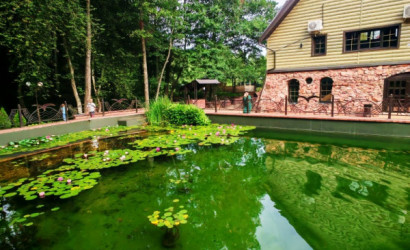 Продажа помещения под сферу услуг, Полонка, Жемчужненский с/с, д.Детковичи,  1500 кв.м.. Фото 1