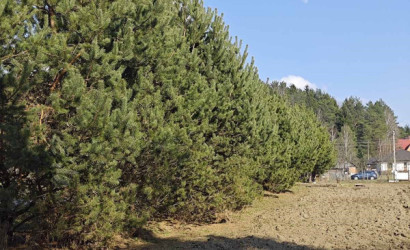 Купить участок, Мочаны, Заречная, 33Б, 11.94 соток. Фото 8