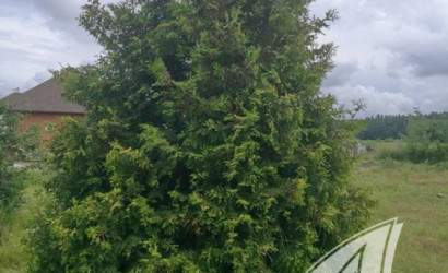 Купить участок, Новые Лыщицы, Лыщицкий с/с, 19.19 соток. Фото 9