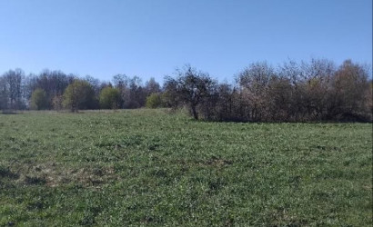 Купить участок, Саковка, 29 соток. Фото 4