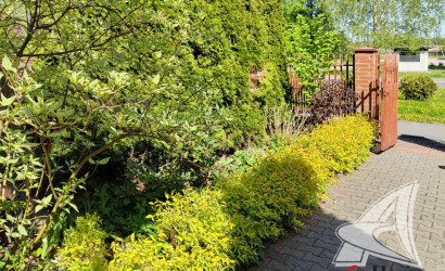 Купить дом, Большие Мотыкалы, Мотыкальский с/с, 6.45 соток. Фото 36