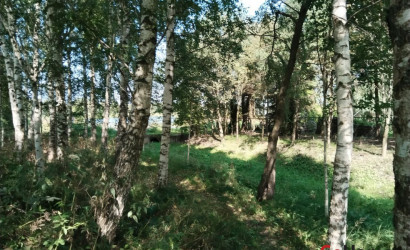 Купить дом, Осиновка, 1-й Осиновский, 3, 24.99 соток. Фото 4