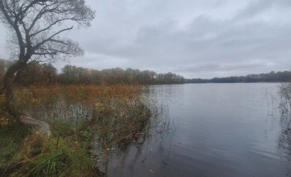 Купить 1-комнатную квартиру, Зароново, Молодёжная, 12. Фото 13