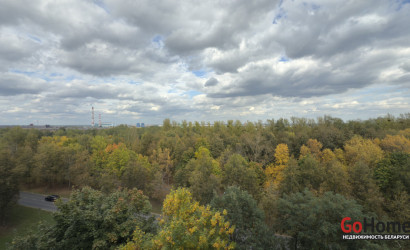 Купить 1-комнатную квартиру, Бобруйск, Михася Лынькова ул., 67. Фото 8