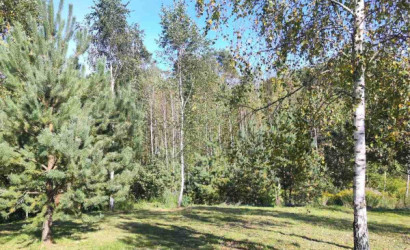 Купить дом, Гаище, 21 соток. Фото 9