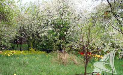 Купить участок, Брест, Чернинский с/с, 5.31 соток. Фото 5