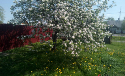 Купить дом, Бенякони, Виленская ул., 18.56 соток. Фото 12