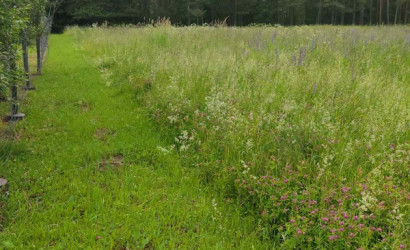 Купить участок, Струсто, Струсто, 25 соток. Фото 4