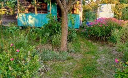 Купить дачу, Тихиничи, Виноградная 161, 10 соток. Фото 11