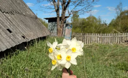  1-этаж.(50 м2), Кухты(Луговая)