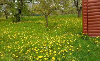 Купить дом, Крупенино, 25 соток. Фото 12