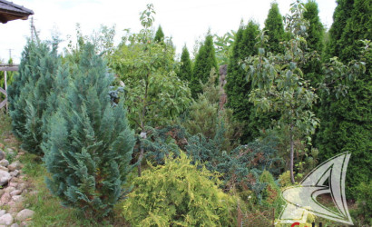 Купить дом, Брест, Козловичи, 12.3 соток. Фото 22