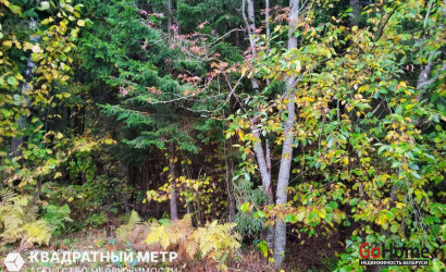 Купить дом в деревне, СЕКУНДА, 6.75 соток. Фото 5