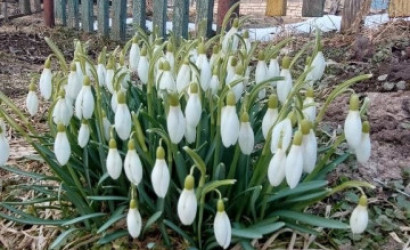 Купить дачу, Дрюково, 6.1 соток. Фото 6